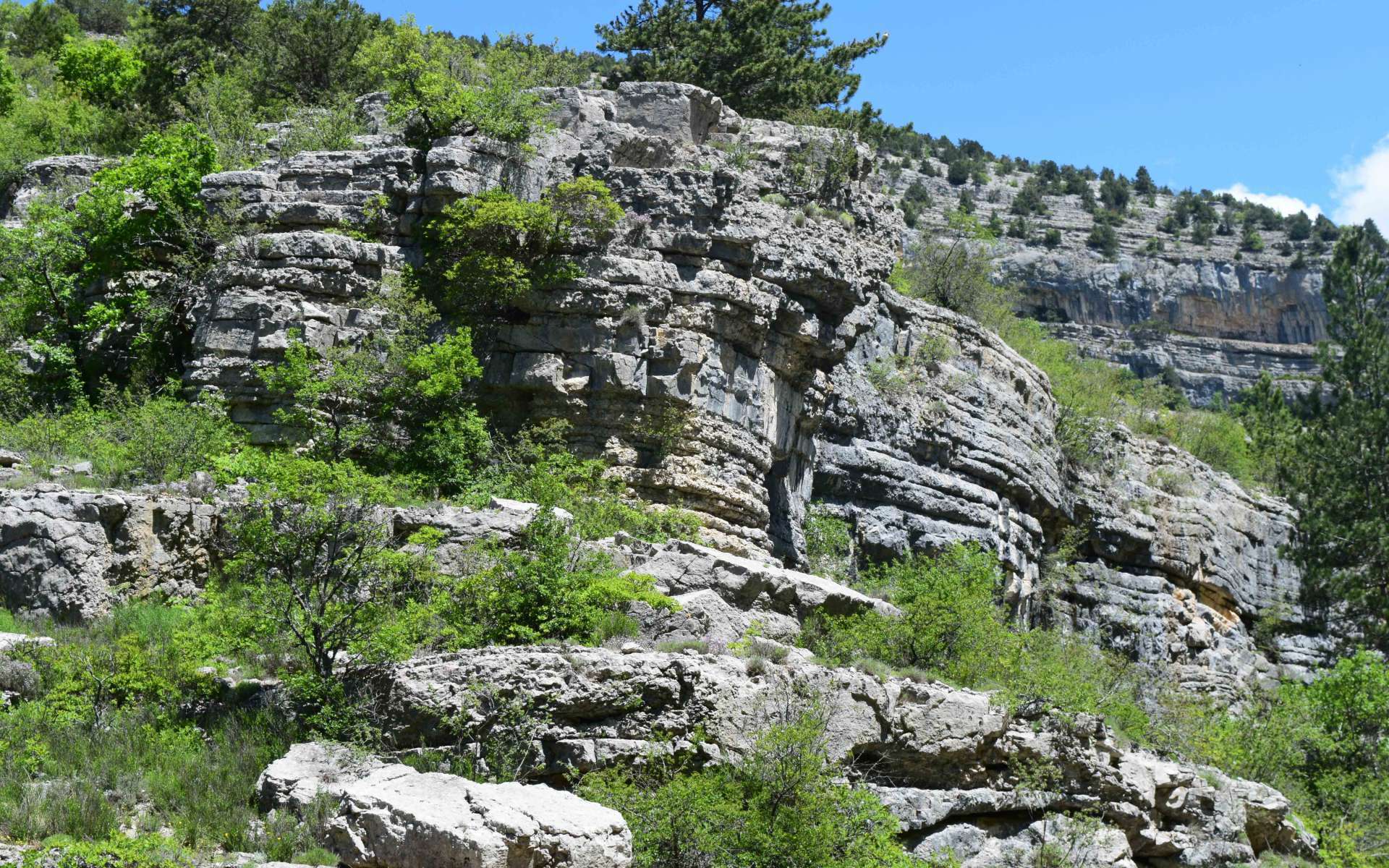 Calcaire - St Génis (Crédits : Sabine Meneut)