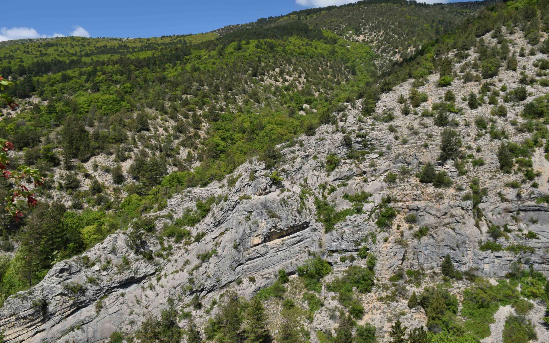 Calcaire - St Génis (Crédits : Sabine Meneut)