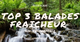 TOP 3 des balades fraîcheur autour d'Aix-en-Provence