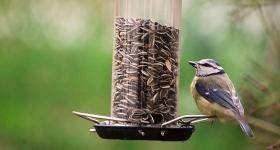 Mangeoire à oiseaux