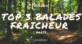 TOP 3 des balades fraîcheur autour de Paris 