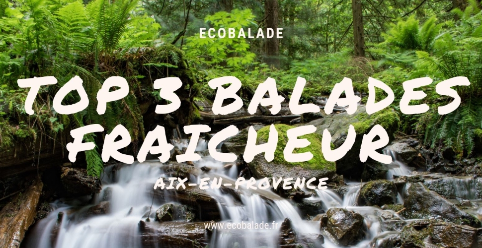 TOP 3 des balades fraîcheur autour d'Aix-en-Provence