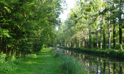 Balade de Méry-sur-Cher - crédit Sologne Nature Environnement