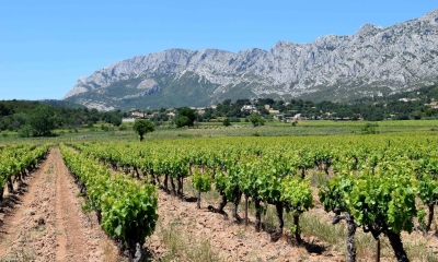 Balade du sentier des vignerons de la Montagne Sainte Victoire - Puyloubier (Crédits : Léa Charbonnier)
