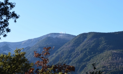 Vue du Mont Ventoux depuis le sentier (Crédit : Sabine Meneut)