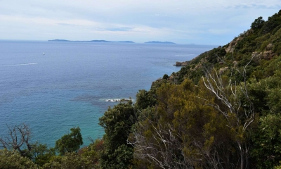 Point de vue depuis le sentier de Fenouillère (Crédits : Sabine Meneut)