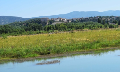 Balade de la Roque d'Anthéron (Crédits : Léa Charbonnier)