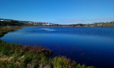 Etang du Milieu. Crédits : MNESPM