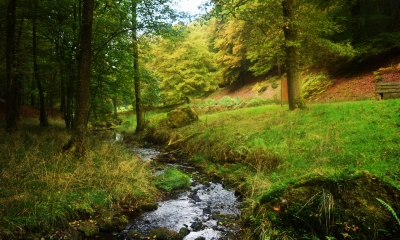 La rôge - cours d'eau - Parc animalier de Fougerolles Saint-Valbert (Crédits : Sabine Meneut)