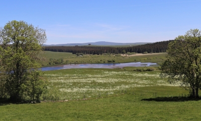 Tourbières du Jolan et de la Gazelle (Crédit : Laura Azzolina)