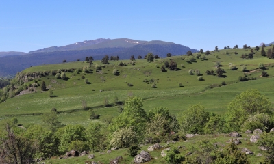 Estives du plateau de Chastel-sur-Murat (Crédit : Laura Azzolina)