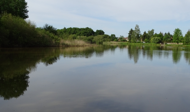 Balade de Saint-Viâtre (41) - Etang de la ville