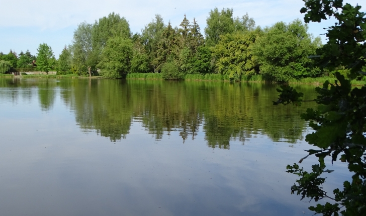 Balade de Saint-Viâtre (41) - Etang de la ville