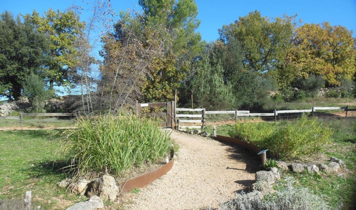 Sentier des plantes aromatiques - (Crédits : Parc d'Aoubré)