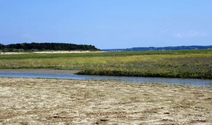 Baie de Somme - La Maye (Crédits: Stéphanie Ritz)