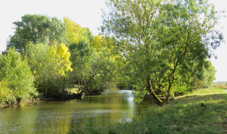 Balade en Brière (44) - randonnée dans le Parc naturel régional de Brière