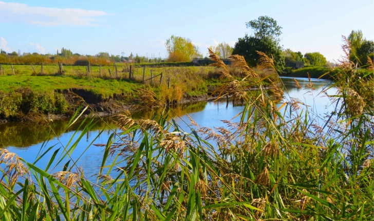 Balade en Brière (44) - randonnée dans le Parc naturel régional de Brière