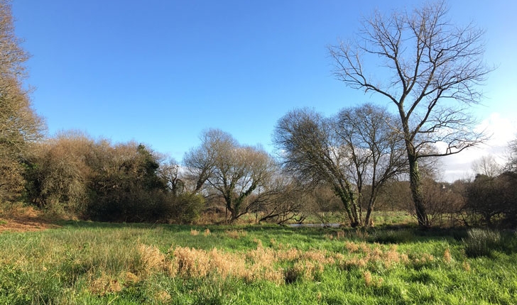 Balade de la Rivière le Goyen - crédit Bretagne Vivante