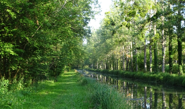 Balade de Méry-sur-Cher - crédit Sologne Nature Environnement