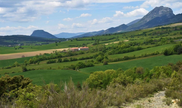 Balade de l'Epine - Pays du Buëch - entre Sisteron et Serre-Ponçon (Crédits : Sabine Meneut)