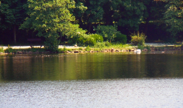 Etang de Rosporden - Crédit : Mairie de Rosporden