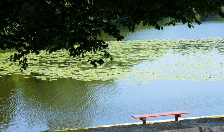 Etang de Rosporden - Crédit : Mairie de Rosporden