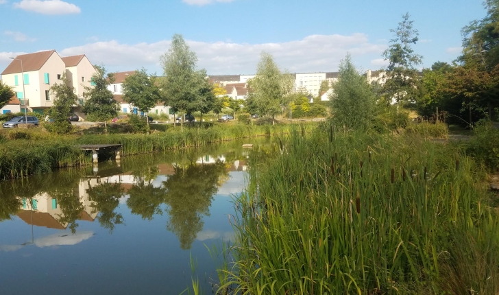 Etang du quartier des Brichères