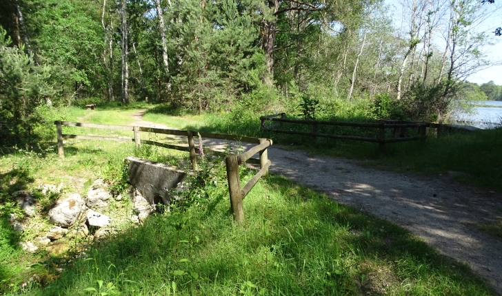 Etang de Nouan le fuzelier