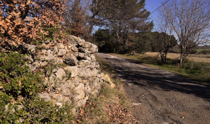 EcoBalade de St Cannat (Crédits : Sabine Meneut)