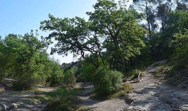 Balade de Gréasque (Crédits: Stéphanie Ritz)