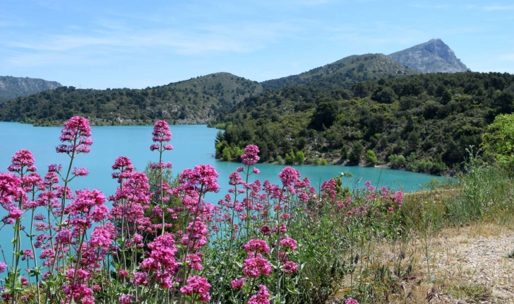 Lac de Bimont et Montagne Sainte-Victoire (Crédits : Léa Charbonnier)