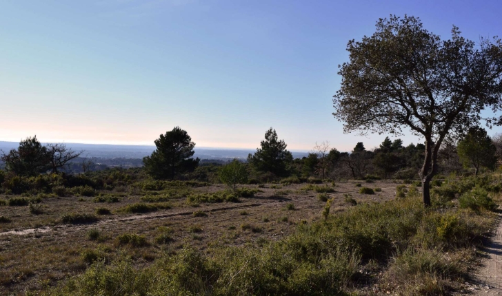 Ecobalade de St Cannat (Crédits : Sabine Meneut)