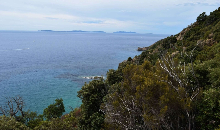Point de vue depuis le sentier du Fenouillet (Crédits : Sabine Meneut)