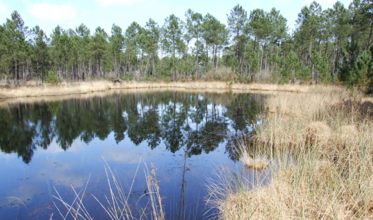 Ecobalade de Brocas - Landes (Credit: Jérôme Fouert-Pouret)