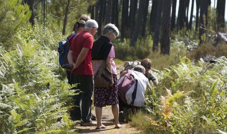 Ecobalade de Brocas - Landes (Credit: Jérôme Fouert-Pouret)