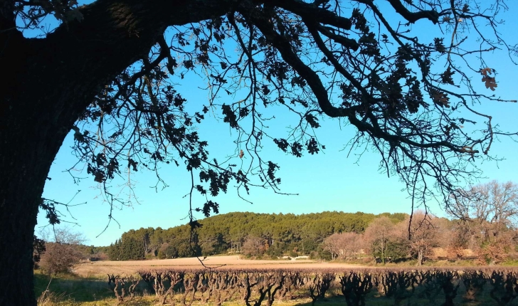 Ecobalade Lambesc (Crédits : Cyril Gautreau)