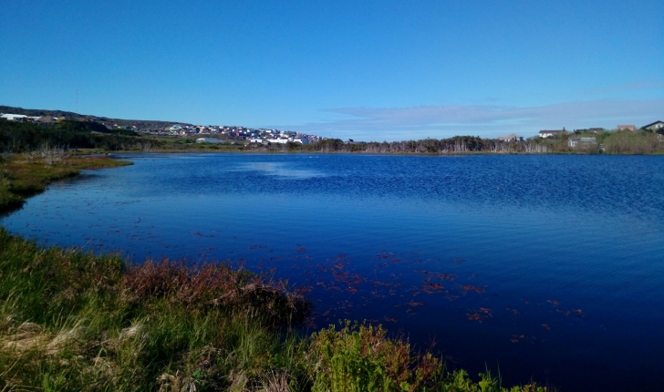 Etang du Milieu. Crédits : MNESPM