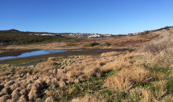 Vue sur le marais du Milieu. Crédits : MNESPM