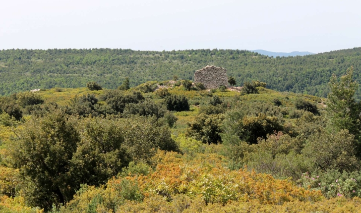 Oppidum de Saint-Antonin - Balade Montagne Sainte-Victoire (Crédits : Léa Charbonnier)