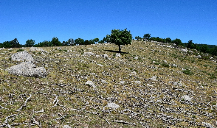 Mas de la Barque - Villefort - Concoules (crédits NS Ariane)