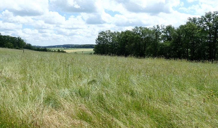 La Cloche, vallée du Perche (crédits Eva Chéramy)