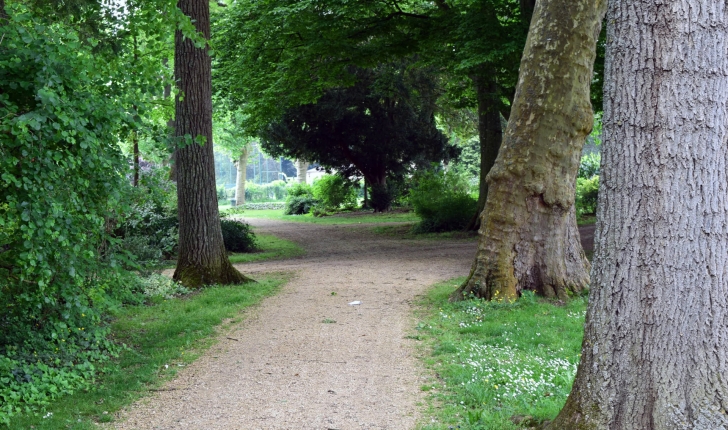 Le parc de l'arbre sec est parfait pour venir se promener à l'ombre.