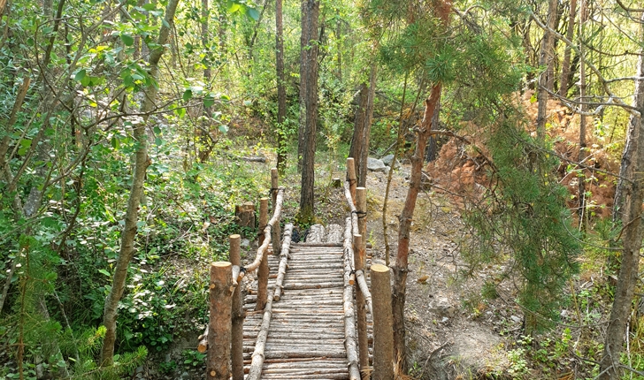 Pont sur le sentier 1 (crédits NS Ariane)