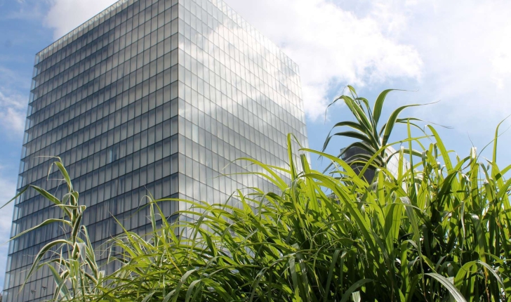 Balade nature de Paris (Crédits : Léa Charbonnier)