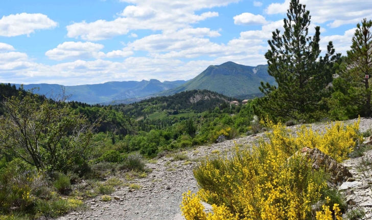 Balade de St-Génis dans les Gorges du Riou - Pays du Buëch- entre Sisteron et Serre-ponçon  (Crédits : Sabine Meneut)