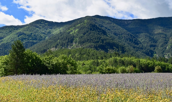 Vallée du Toulourenc (crédits Natural Solutions)