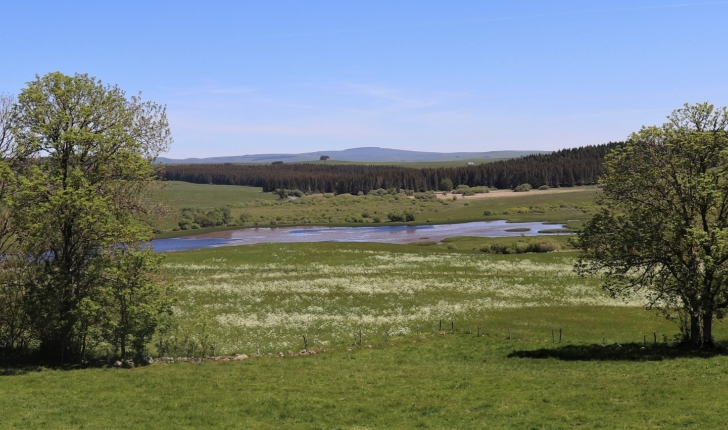 Tourbières du Jolan et de la Gazelle (Crédit : Laura Azzolina)