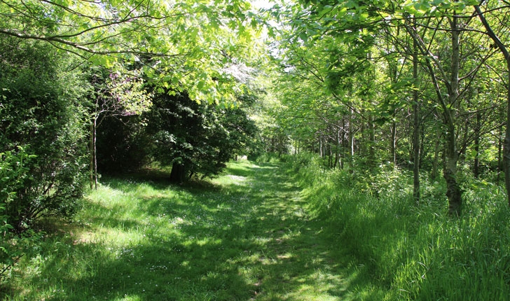 L'Arboretum de Carnivet-Quessoy