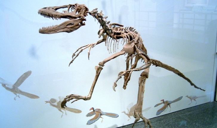 Deinonychus