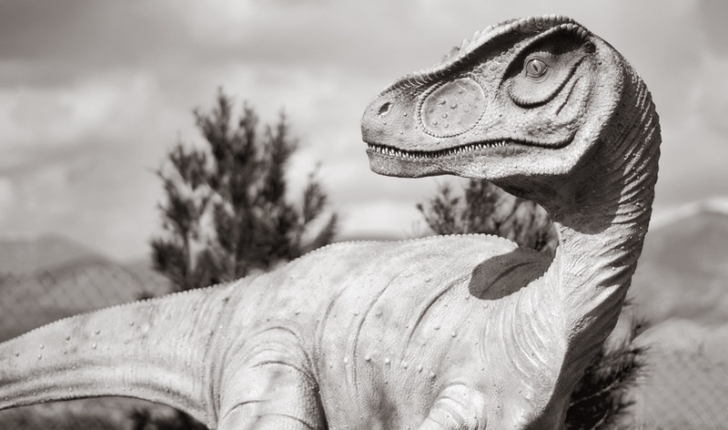 Vélociraptor